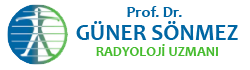 logoguner
